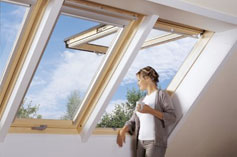 Velux Windows